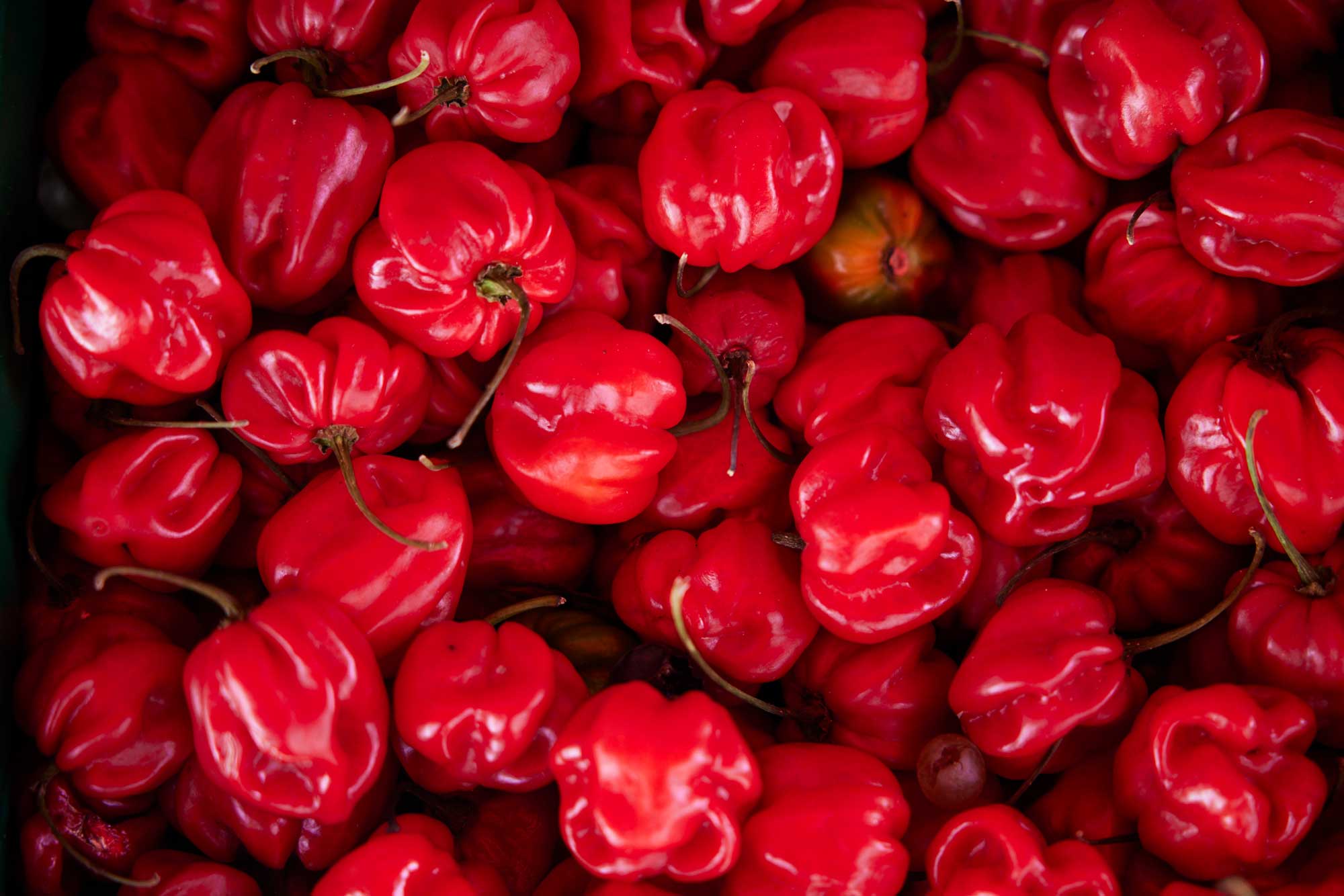 Cavusoglu Supermarkt Paprikas